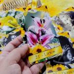 Cartas de Mamãe Oxum – Amor, Prosperidade e Intuição em 36 Cartas