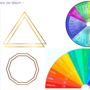 Mesa Radiônica Reiki e Floral Para PET - Atendimento 30 minutos