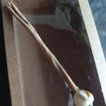 Vassoura Energética Artesanal | Limpeza Espiritual e Proteção | 4 ELEMENTOS